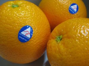 An exporter&rsquo;s guide to China